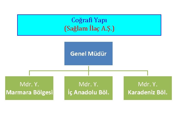 Coğrafi Yapı (Sağlam İlaç A. Ş. ) Genel Müdür Mdr. Y. Marmara Bölgesi Mdr.