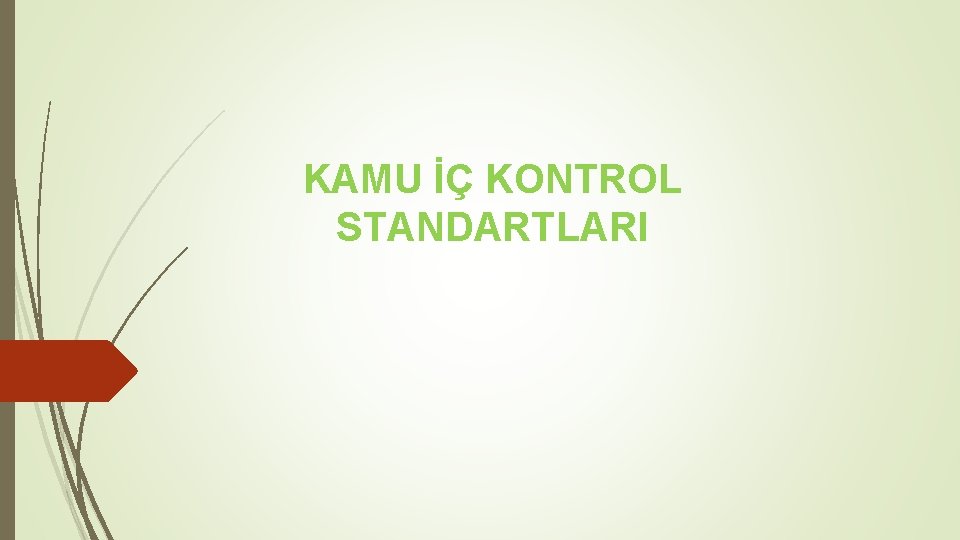 KAMU İÇ KONTROL STANDARTLARI 