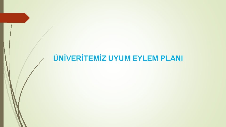 ÜNİVERİTEMİZ UYUM EYLEM PLANI 