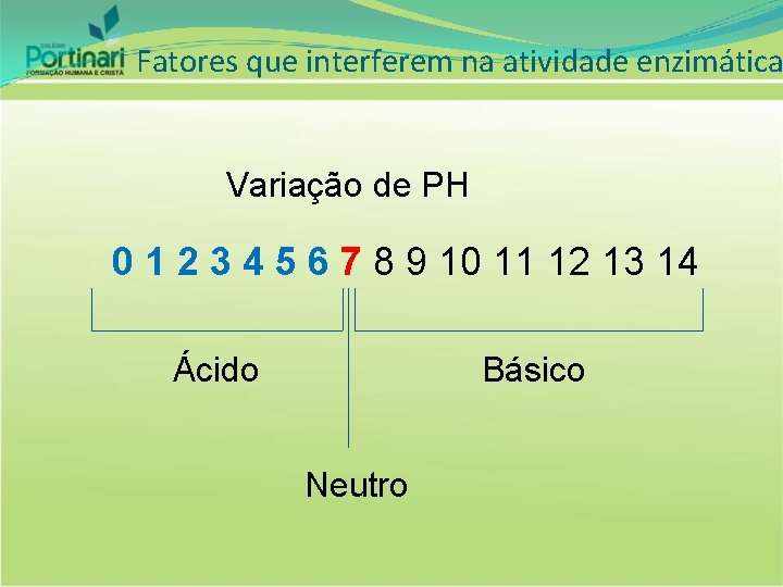 Fatores que interferem na atividade enzimática Variação de PH 0 1 2 3 4