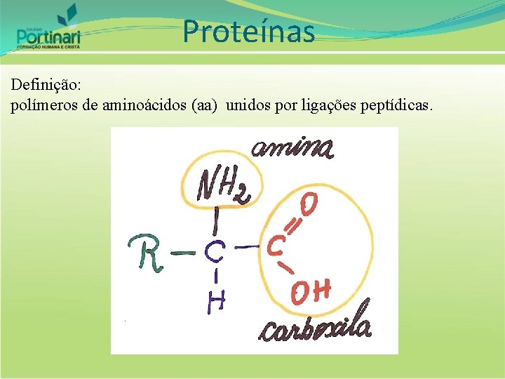 Proteínas Definição: polímeros de aminoácidos (aa) unidos por ligações peptídicas. 