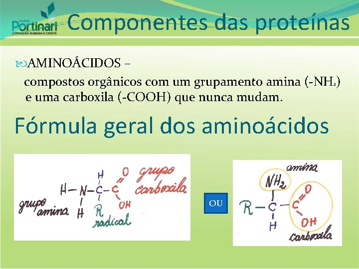 Componentes das proteínas AMINOÁCIDOS – compostos orgânicos com um grupamento amina (-NH ) e