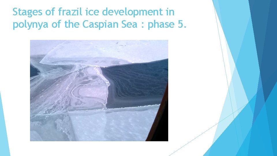 Stages of frazil ice development in polynya of the Caspian Sea : phase 5.