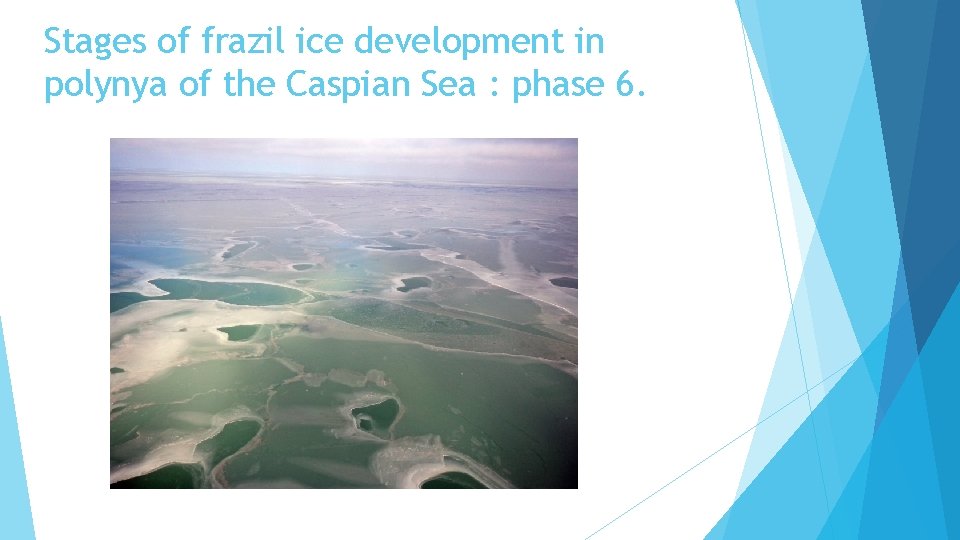 Stages of frazil ice development in polynya of the Caspian Sea : phase 6.