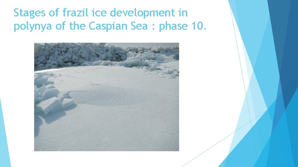 Stages of frazil ice development in polynya of the Caspian Sea : phase 10.