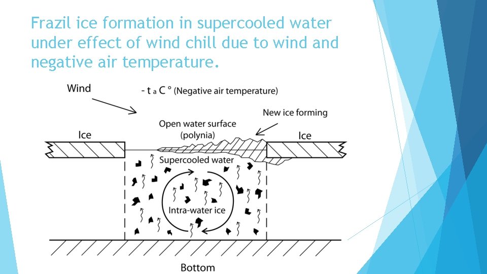 Frazil ice formation in supercooled water under effect of wind chill due to wind