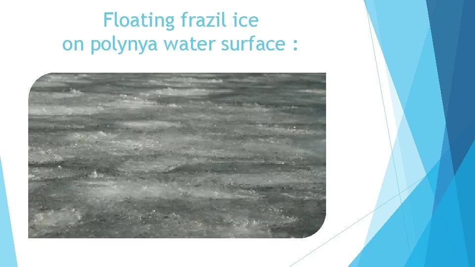 Floating frazil ice on polynya water surface : 