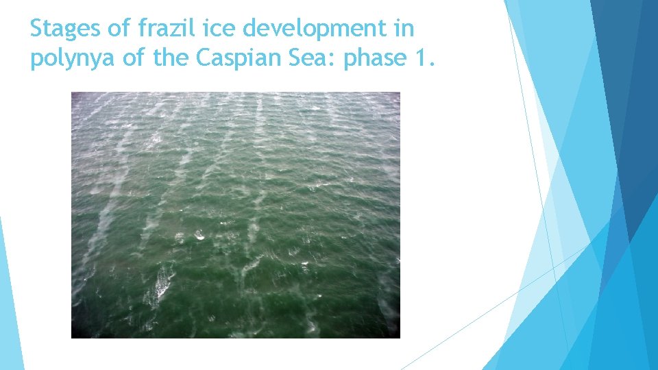 Stages of frazil ice development in polynya of the Caspian Sea: phase 1. 
