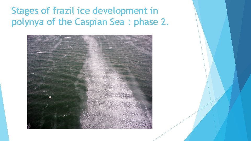 Stages of frazil ice development in polynya of the Caspian Sea : phase 2.