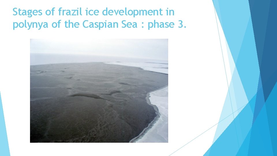 Stages of frazil ice development in polynya of the Caspian Sea : phase 3.