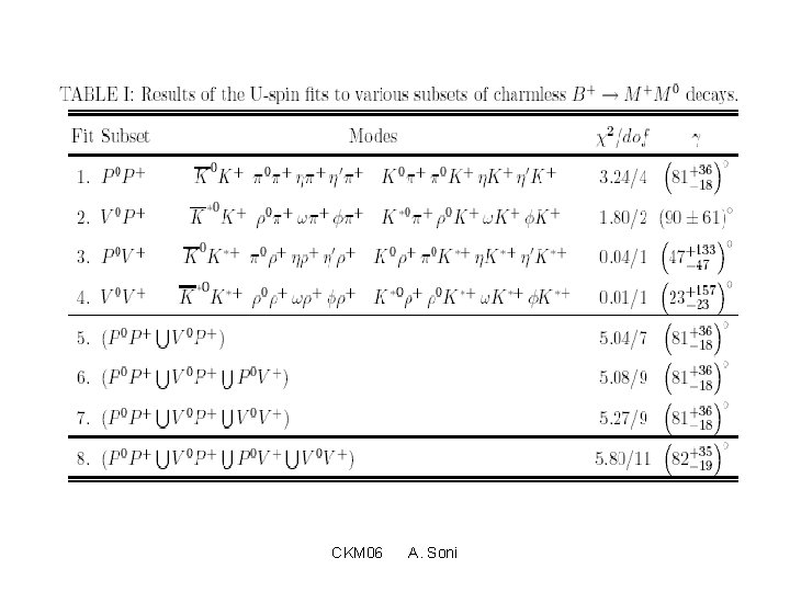 CKM 06 A. Soni 