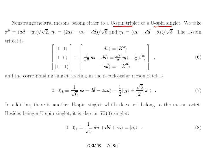 CKM 06 A. Soni 