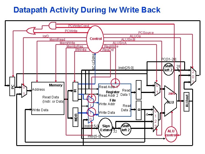 Datapath Activity During lw Write Back Address Read Data (Instr. or Data) 1 1