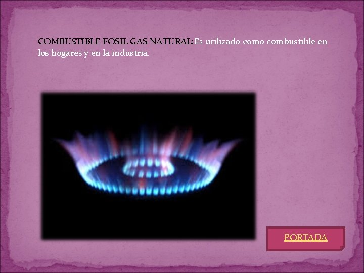 COMBUSTIBLE FOSIL GAS NATURAL: Es utilizado combustible en los hogares y en la industria.