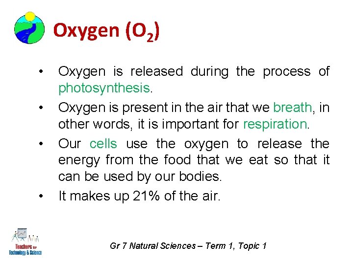 Oxygen (O 2) • • Oxygen is released during the process of photosynthesis. Oxygen