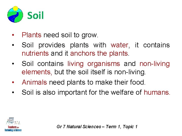 Soil • • • Plants need soil to grow. Soil provides plants with water,