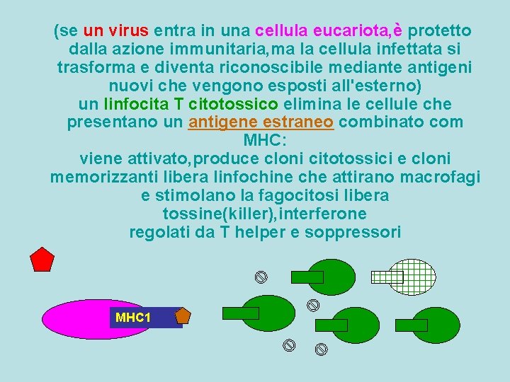 (se un virus entra in una cellula eucariota, è protetto dalla azione immunitaria, ma