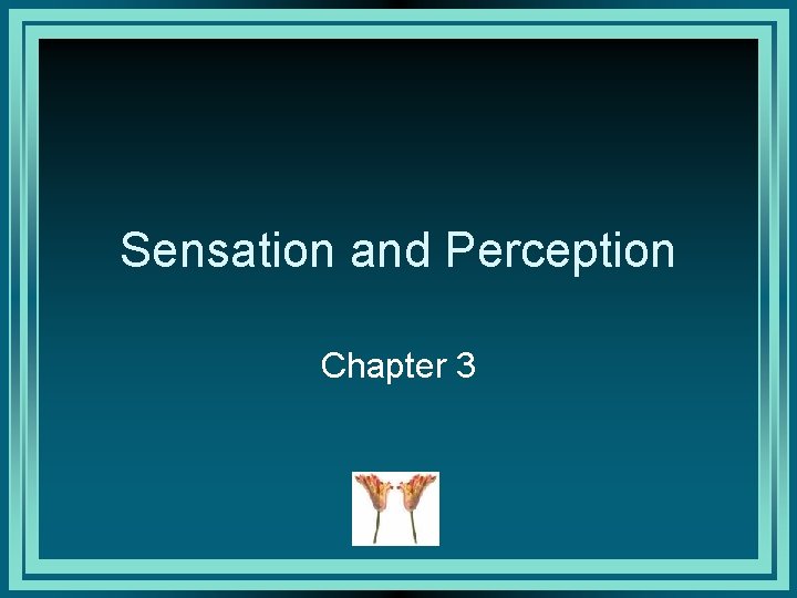 Sensation and Perception Chapter 3 