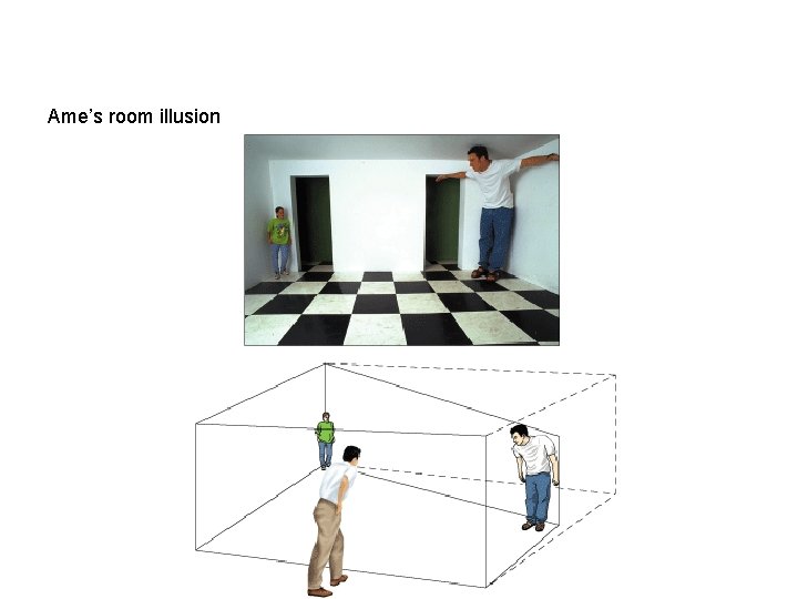 Ame’s room illusion 