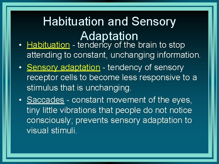 Habituation and Sensory Adaptation • Habituation - tendency of the brain to stop attending