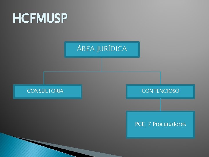 HCFMUSP ÁREA JURÍDICA CONSULTORIA CONTENCIOSO PGE: 7 Procuradores 