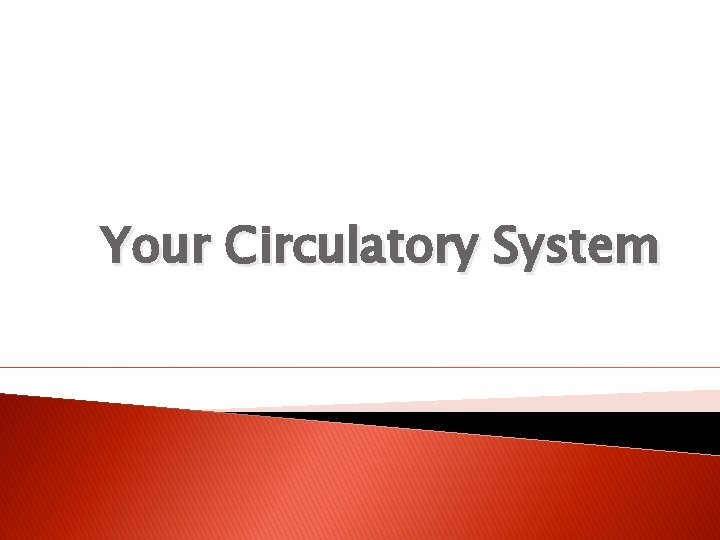Your Circulatory System 