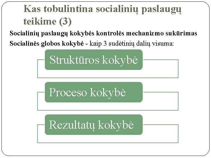 Kas tobulintina socialinių paslaugų teikime (3) Socialinių paslaugų kokybės kontrolės mechanizmo sukūrimas Socialinės globos