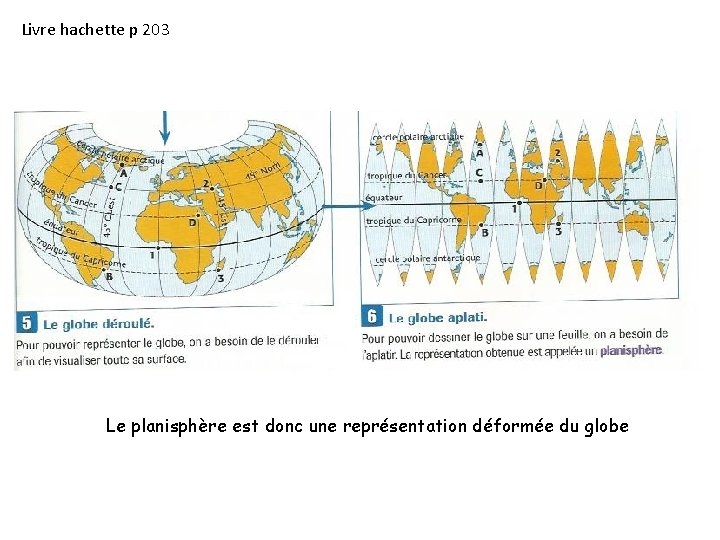 Livre hachette p 203 Le planisphère est donc une représentation déformée du globe 