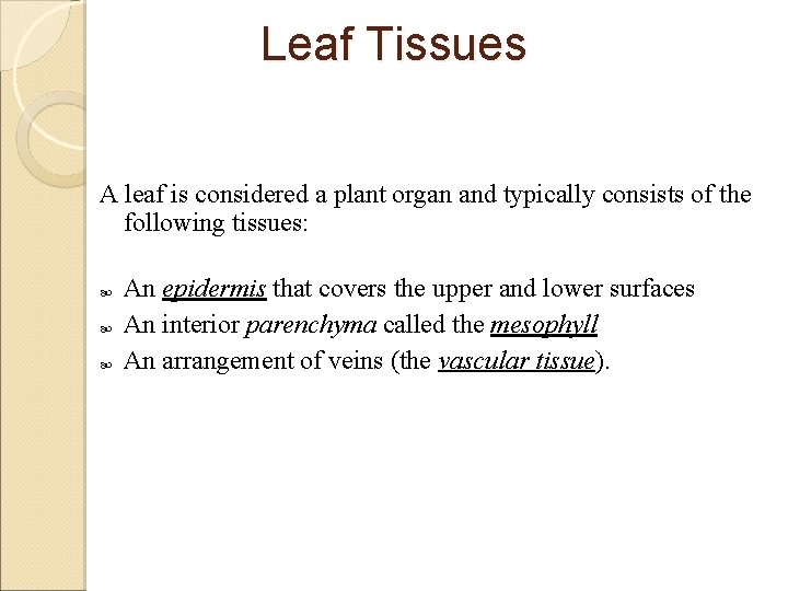 Leaf Tissues A leaf is considered a plant organ and typically consists of the