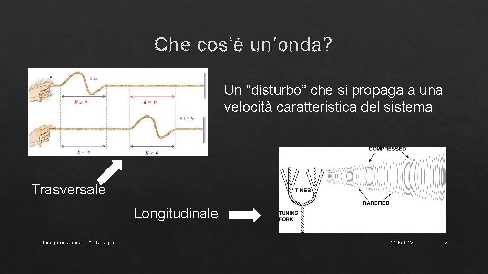 Che cos’è un’onda? Un “disturbo” che si propaga a una velocità caratteristica del sistema