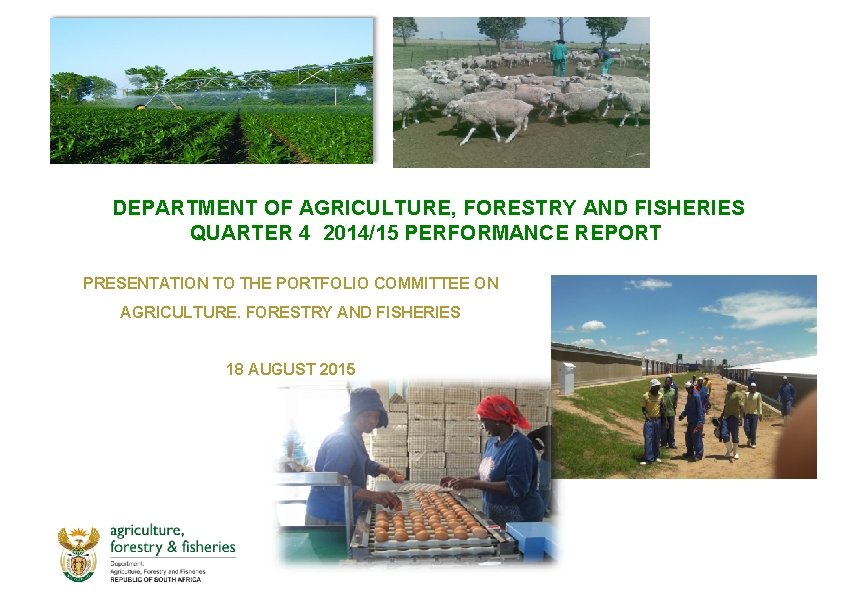 DEPARTMENT OF AGRICULTURE, FORESTRY AND FISHERIES QUARTER 4 2014/15 PERFORMANCE REPORT PRESENTATION TO THE