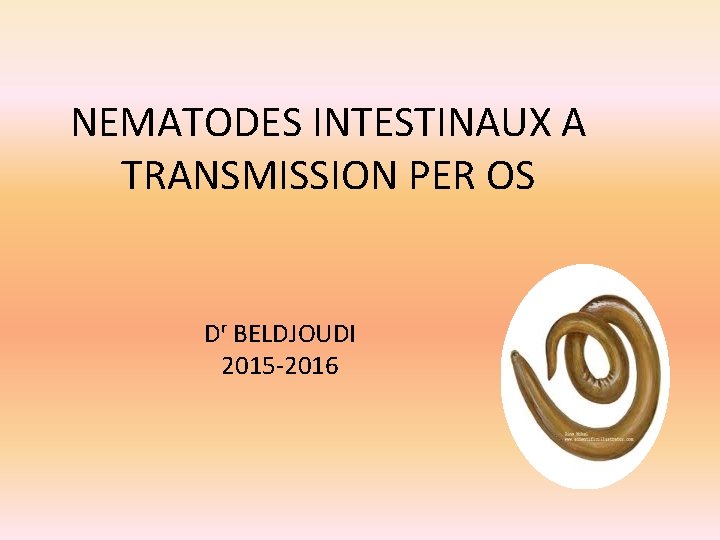NEMATODES INTESTINAUX A TRANSMISSION PER OS Dʳ BELDJOUDI 2015 -2016 
