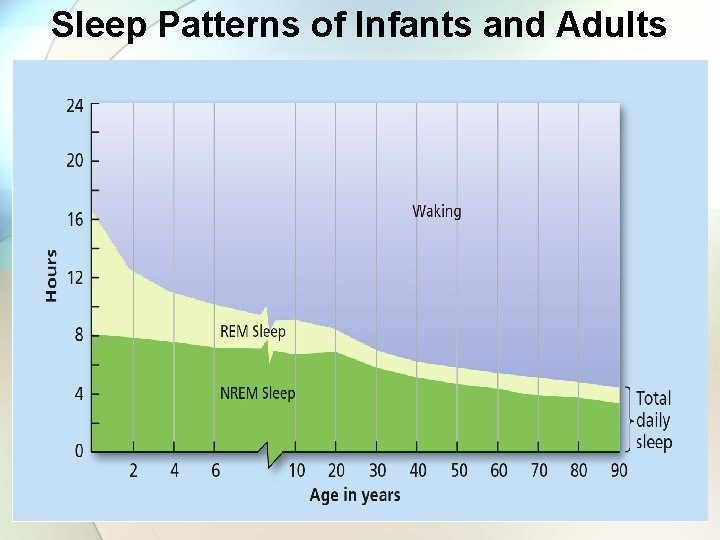 Sleep Patterns of Infants and Adults 