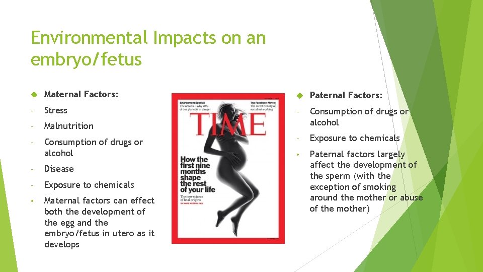 Environmental Impacts on an embryo/fetus Maternal Factors: Paternal Factors: - Stress - - Malnutrition