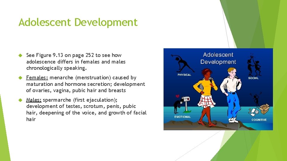 Adolescent Development See Figure 9. 13 on page 252 to see how adolescence differs