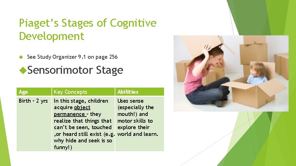 Piaget’s Stages of Cognitive Development See Study Organizer 9. 1 on page 256 Sensorimotor