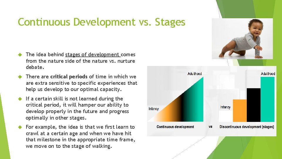 Continuous Development vs. Stages The idea behind stages of development comes from the nature