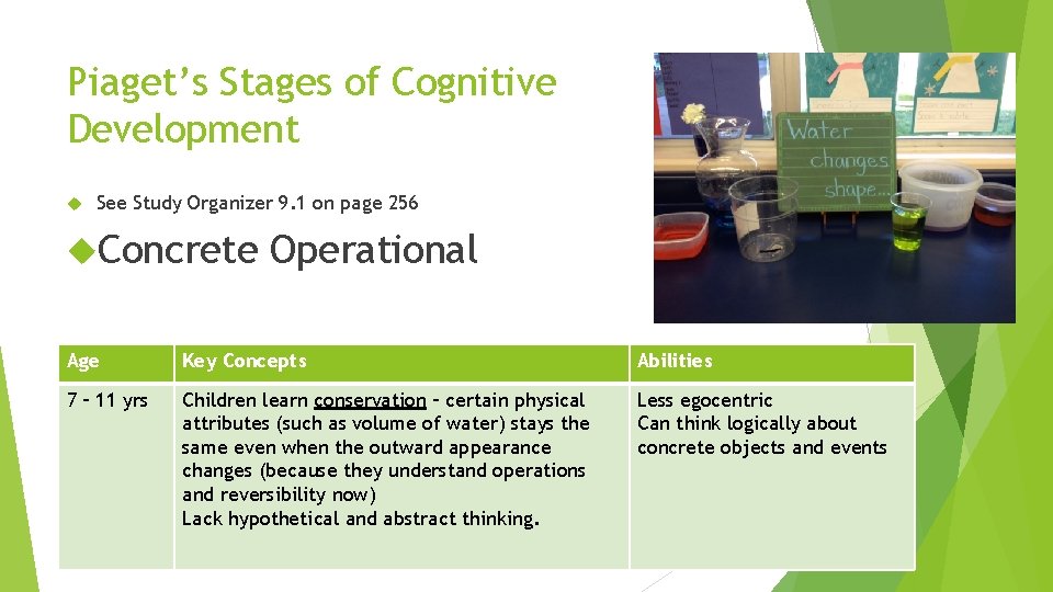 Piaget’s Stages of Cognitive Development See Study Organizer 9. 1 on page 256 Concrete