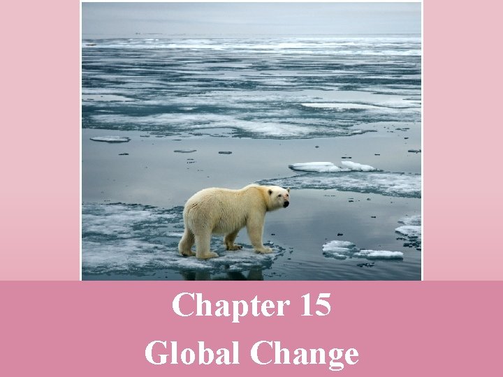 Chapter 15 Global Change 