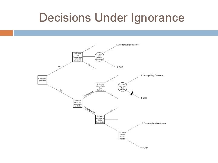 Decisions Under Ignorance 