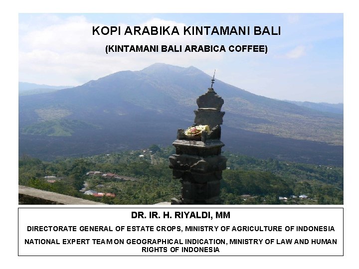 KOPI ARABIKA KINTAMANI BALI (KINTAMANI BALI ARABICA COFFEE) DR. IR. H. RIYALDI, MM DIRECTORATE