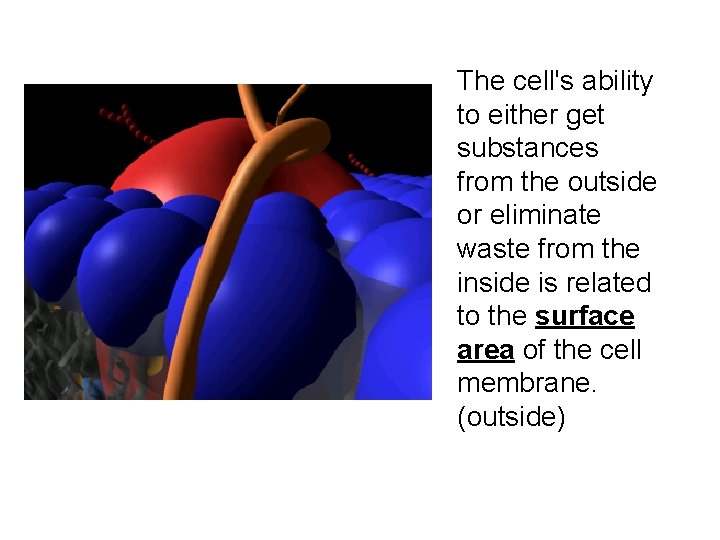 The cell's ability to either get substances from the outside or eliminate waste from The cell's ability to either get substances from the outside or eliminate waste from