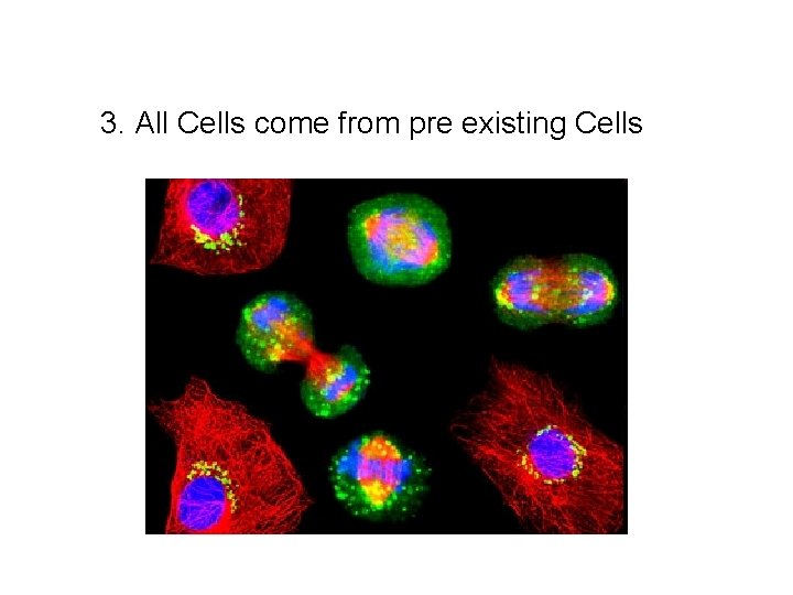 3. All Cells come from pre existing Cells 3. All Cells come from pre existing Cells