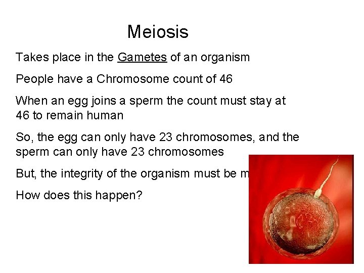 Meiosis Takes place in the Gametes of an organism People have a Chromosome count Meiosis Takes place in the Gametes of an organism People have a Chromosome count