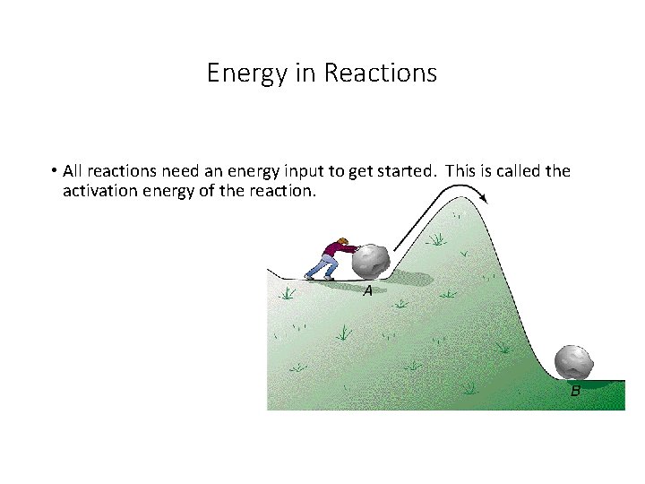 Energy in Reactions • All reactions need an energy input to get started. This