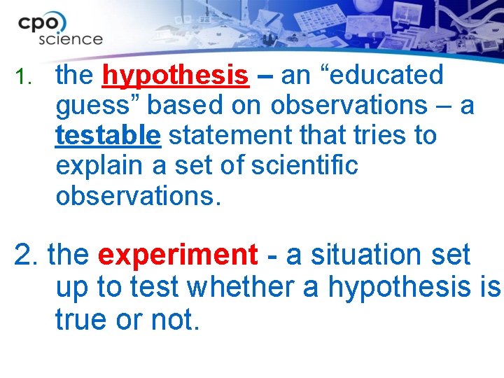 1. the hypothesis – an “educated guess” based on observations – a testable statement