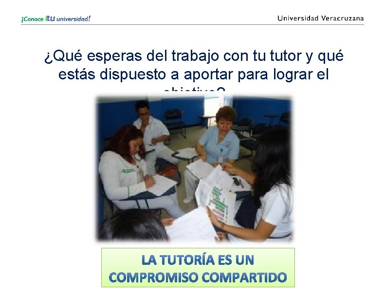 ¿Qué esperas del trabajo con tu tutor y qué estás dispuesto a aportar para