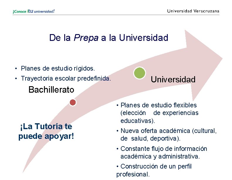 De la Prepa a la Universidad • Planes de estudio rígidos. • Trayectoria escolar