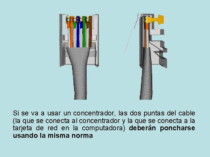 Si se va a usar un concentrador, las dos puntas del cable (la que