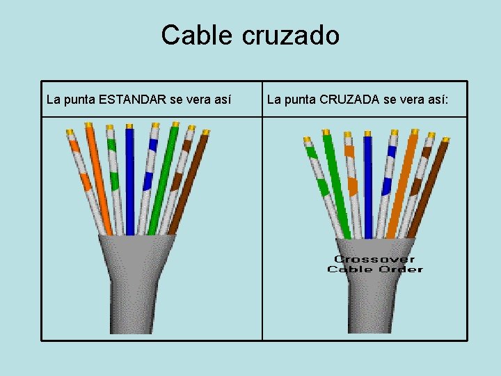 Cable cruzado La punta ESTANDAR se vera así La punta CRUZADA se vera así: